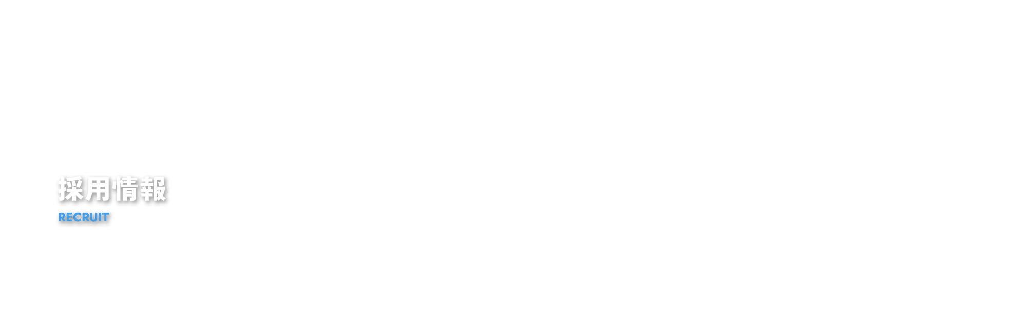 採用情報